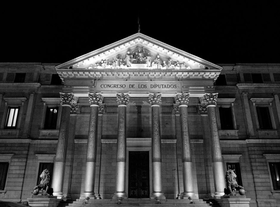 Nombres de Gata Egipcia Danzando: Inspiración Moderna