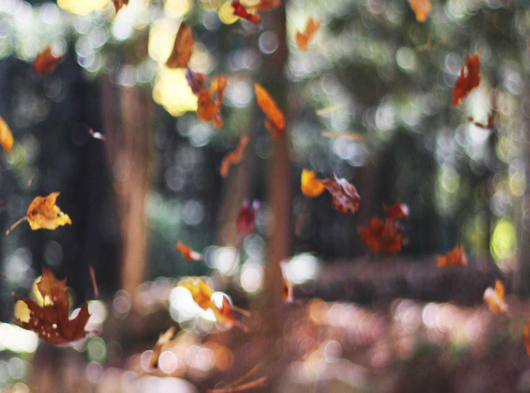 A Quick Look Back: Historical Value of MYR vs. IDR