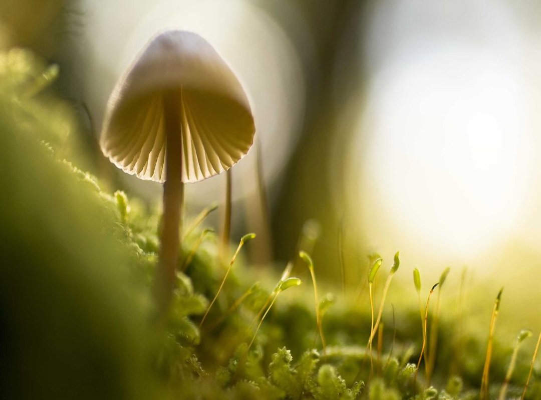 Dissecting the Latest Chapter: Drama, Goals, and Penalties