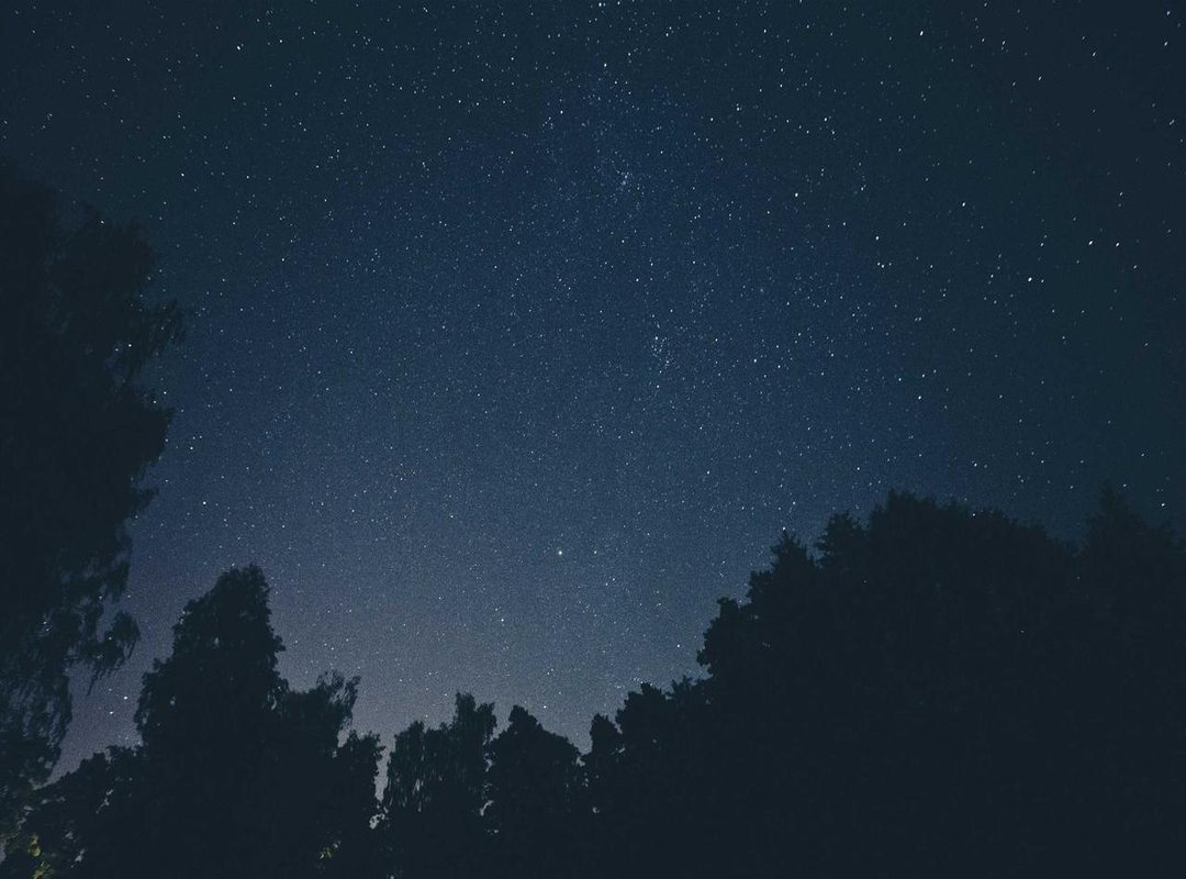 The Major Twist: Who Was Jo, Really?