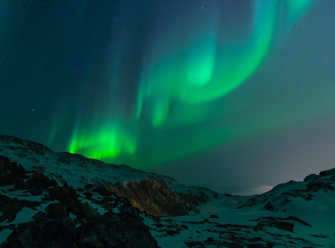 Designing Your Perfect Koi Tattoo: Key Elements to Include