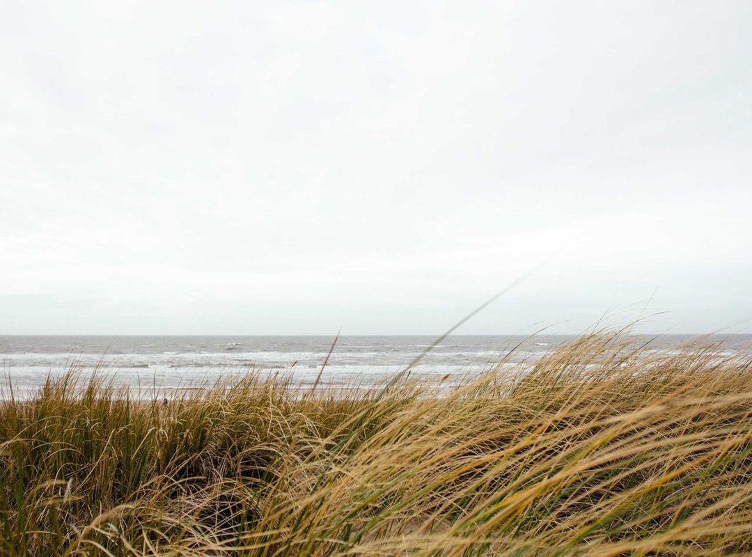 Navigating the Platform: Key Features for Readers