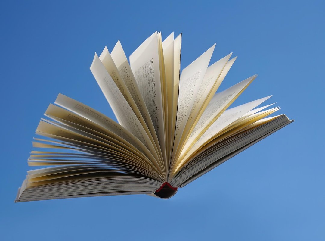 How to Understand and Appreciate the Novel