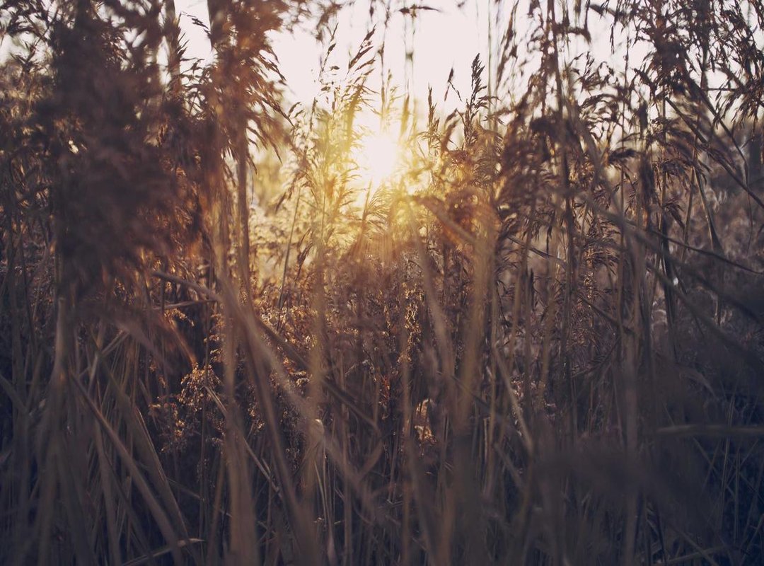 Best Choice for Premium Quality & User Experience: [Platform B]