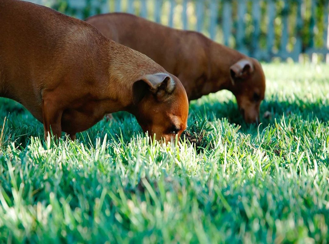 A Look Back: Hauser's High-Profile Past Romances