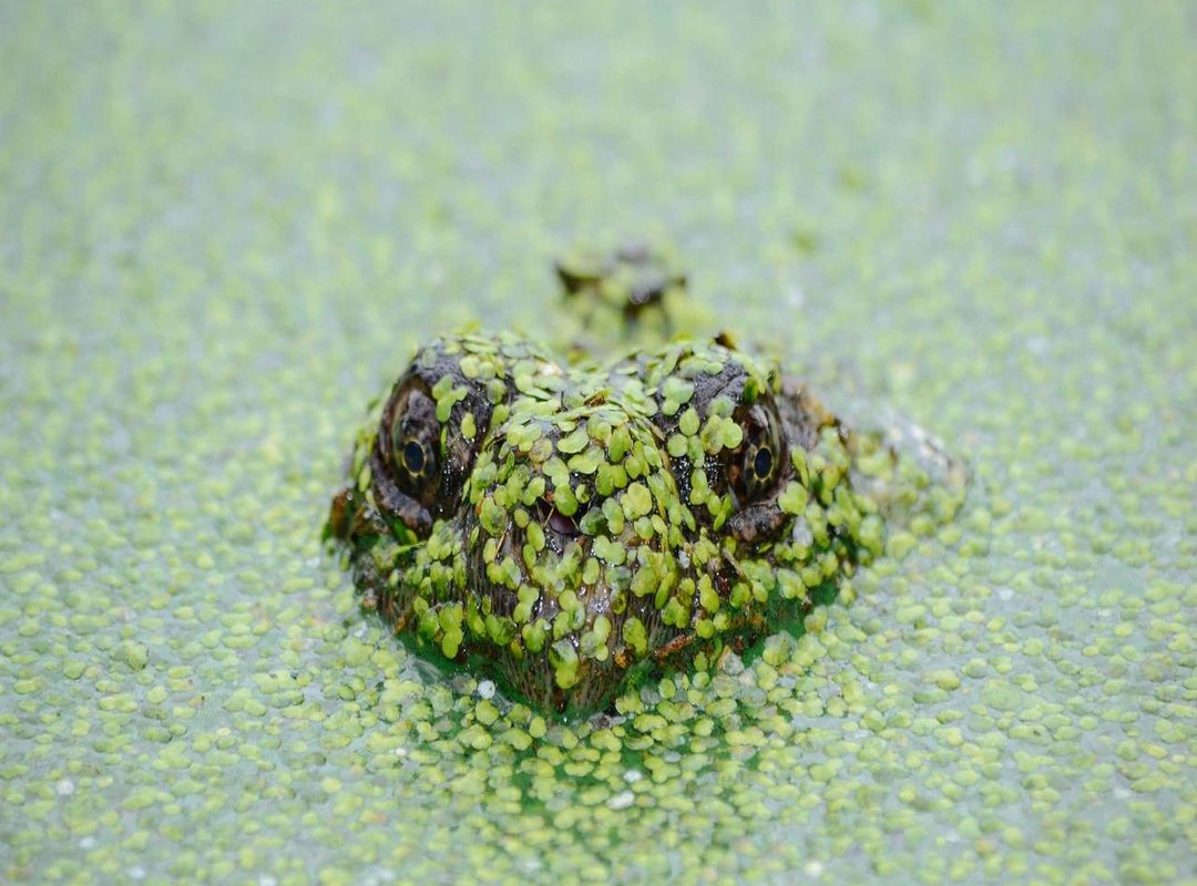 Beyond the Screen: What the Cast is Hinting At