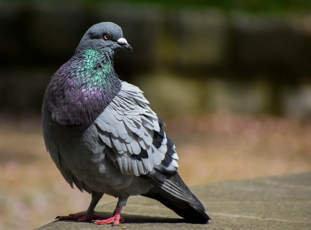 What Sets 600 Eprex Apart from Other Investments