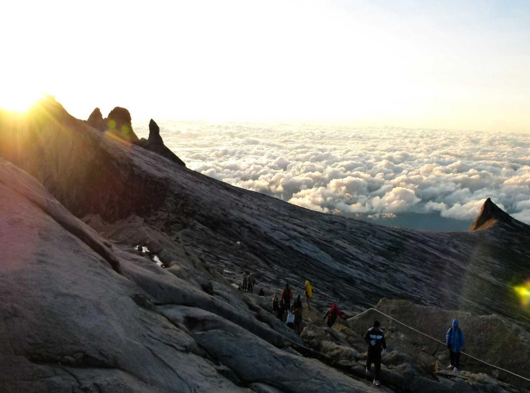 Finding Inspiration: Where to Watch High-Quality Bokeh Examples Online